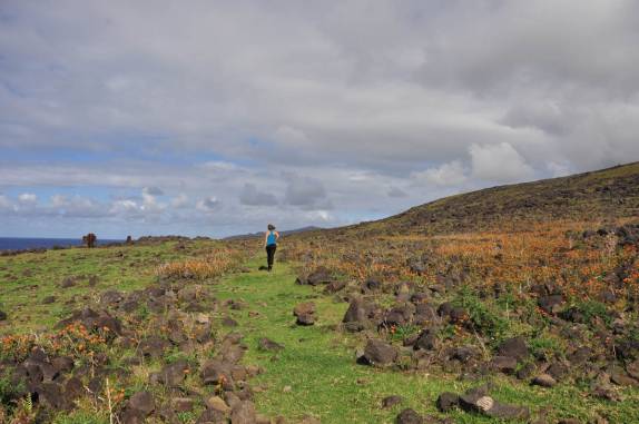Longa caminhada pelo norte da Ilha de Páscoa, no sul do Oceano Pacífico